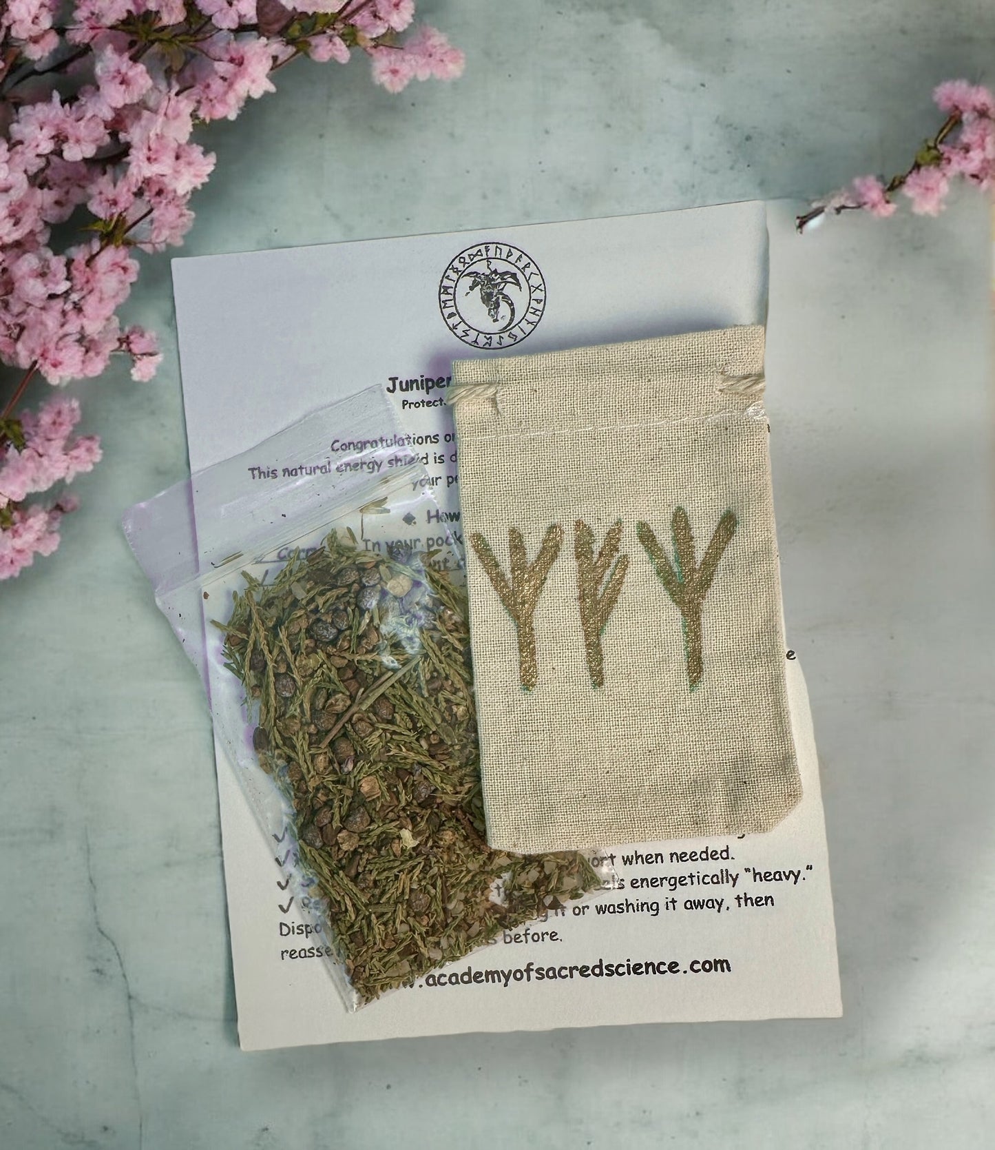 Prosperity Protection Pouch Guarded Growth