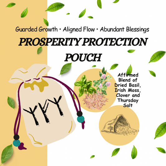Prosperity Protection Pouch Guarded Growth