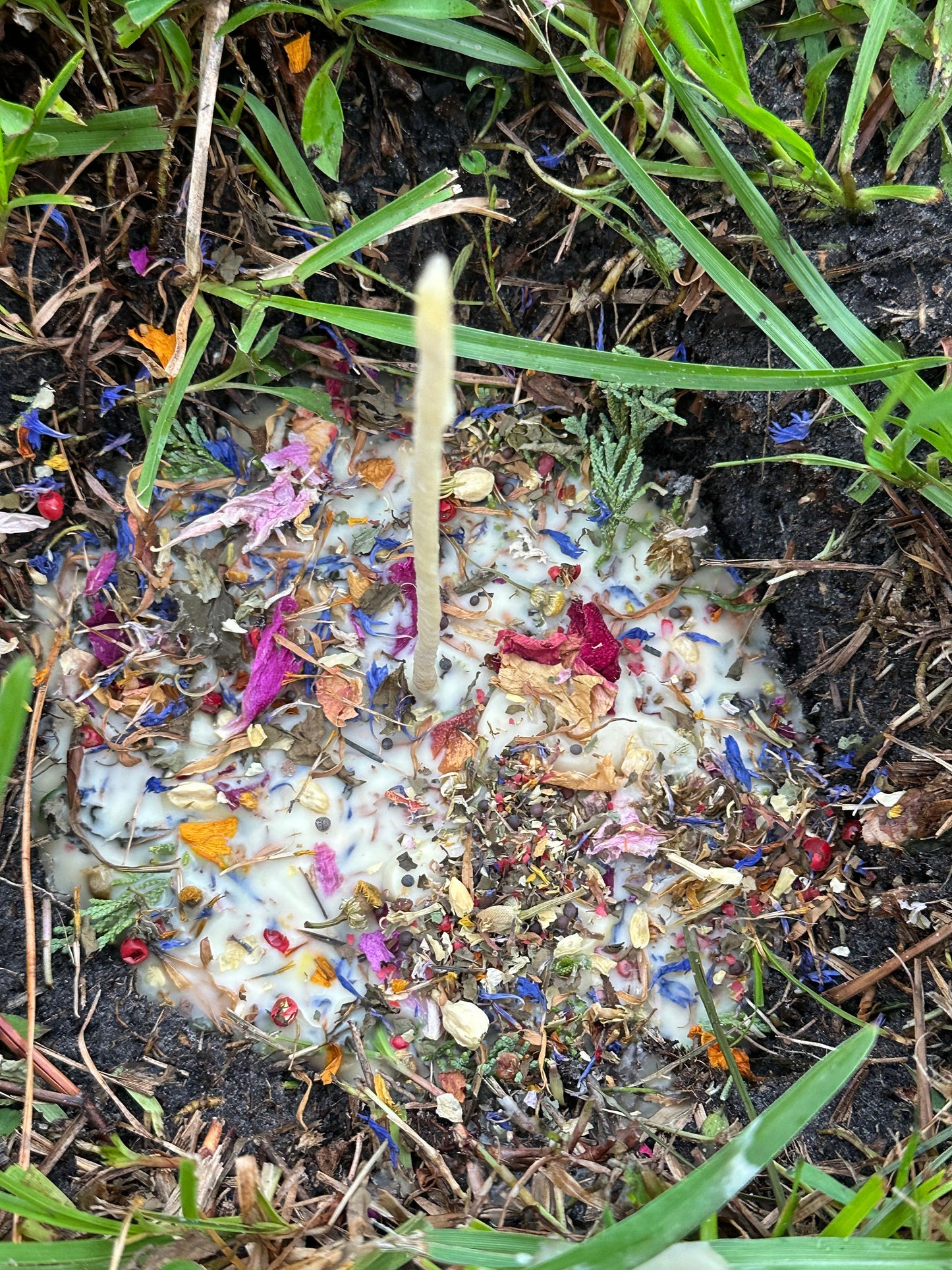 Solstice " Greenmother’s Flame" Beeswax Candle for Litha's Prosperity & Strawberry Moon Energy with Sigil, Herbs & Crystals for Protection, Health, and Abundance